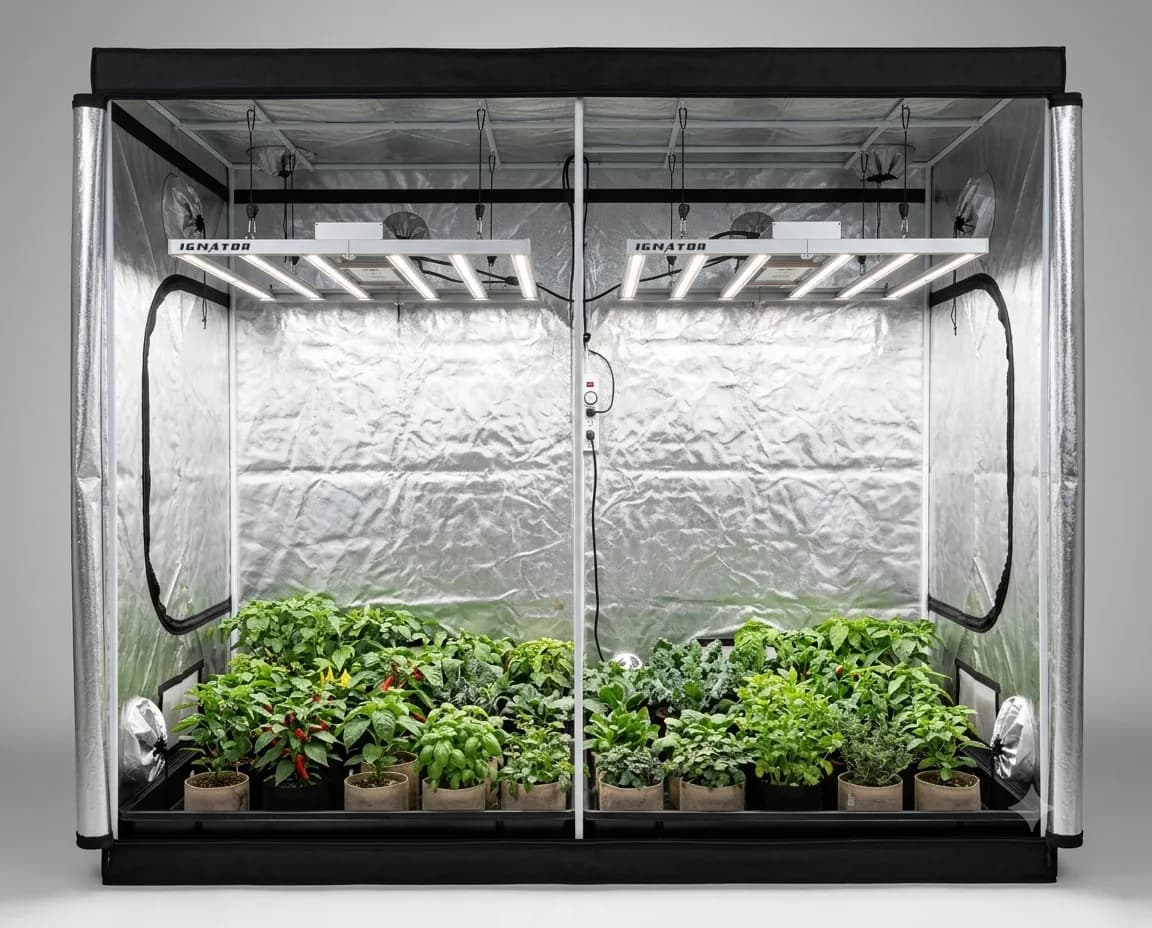 Indoor grow tent with LED lighting and potted plants