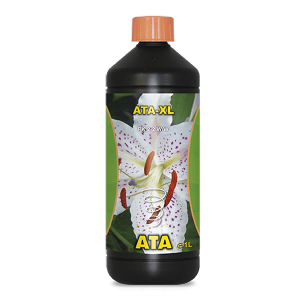 Atami Ata XL (1L to 10L)