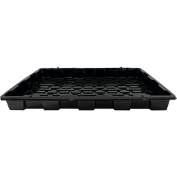 Culture Tray 59x39x5cm (1)