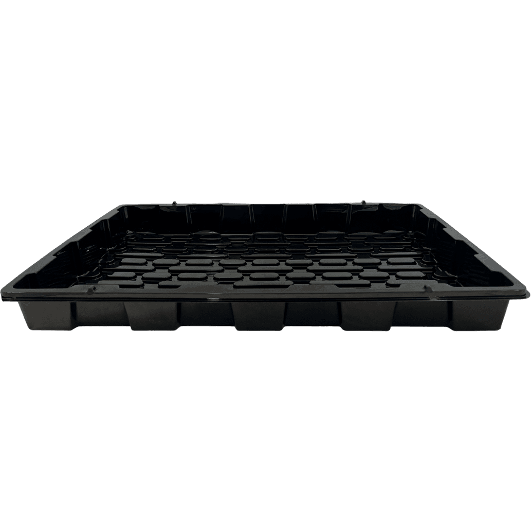 Culture Tray 59x39x5cm