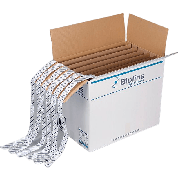 Starskii - Amblyseius Swirskii 6 Strips 100m 125,000 (White Fly)