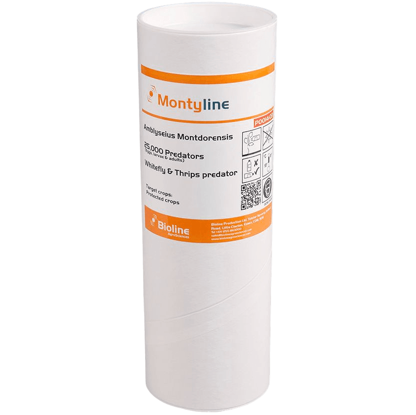 Montyline - Tube 25.000 Individuals - Amblyseius montdorensis (Thrips / Whitefly)