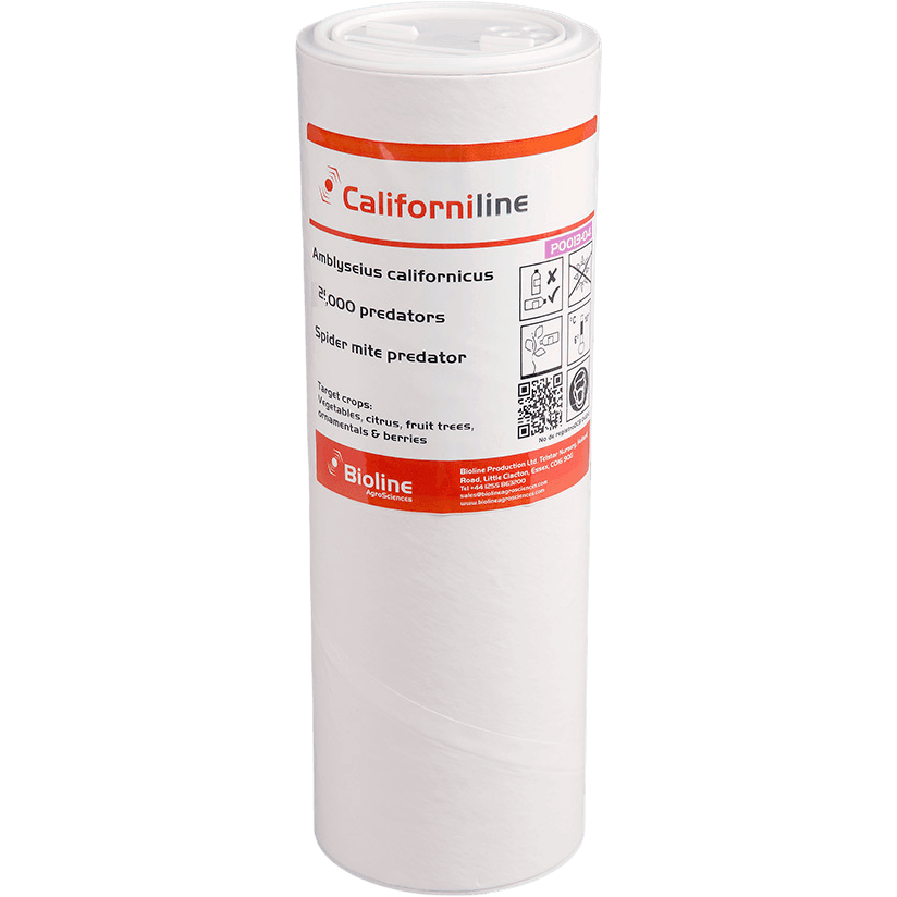 Californiline - Bran/vermiculite - Bottle 2,000 Individuals - Amblyseius californicus (Red Spider)