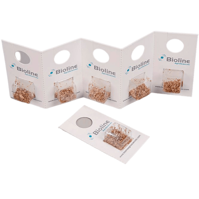 Eretline - 60 Cards - 3,000 Individuals - Eretmocerus eremicus (Greenhouse and Potato White Spider)