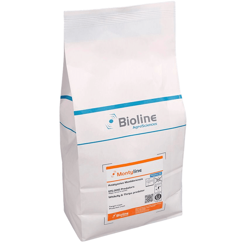 Montyline - Bag 5L - 125,000 Individuals - Amblyseius montdorensis (Thrips / Whitefly)