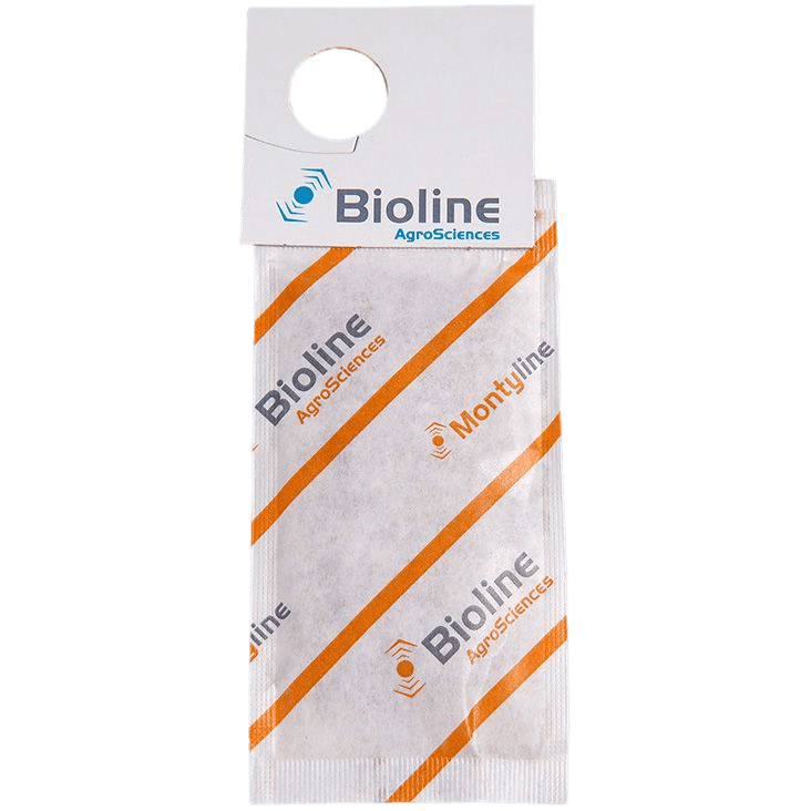 Montyline - 1,000 Mini Envelopes - 250,000 Individuals - Amblyseius montdorensis (Thrips / Whitefly)