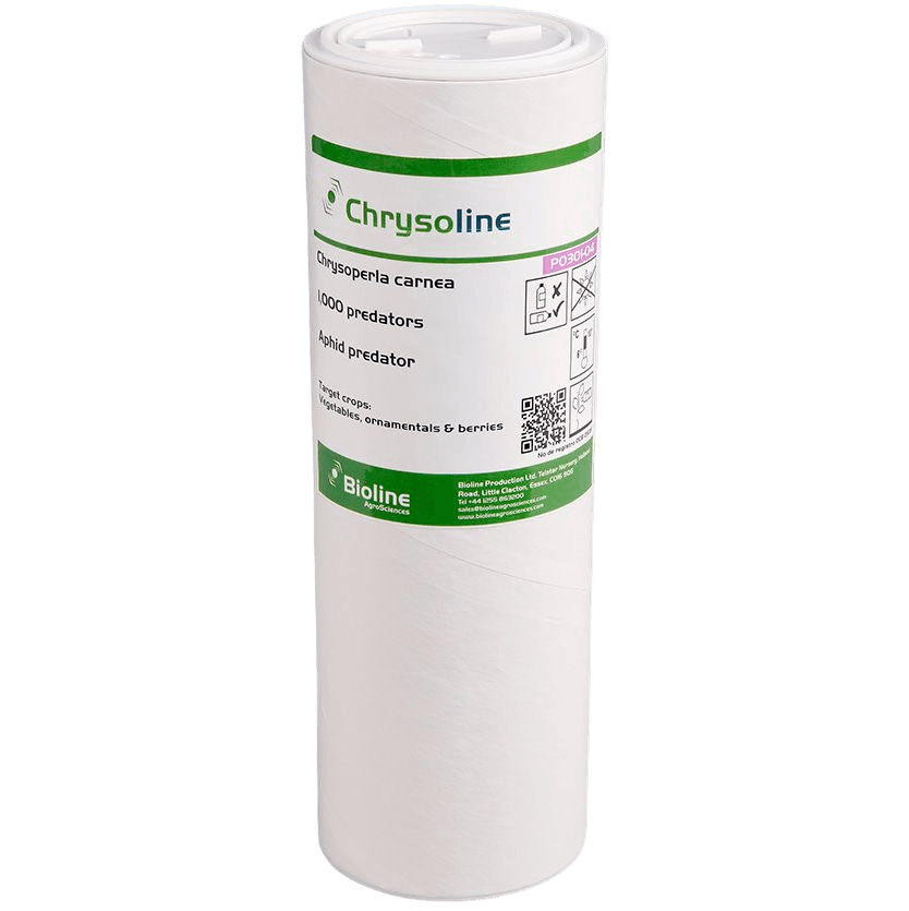 Chrysoline - Tube - 1.000 Individuals - Chrysoperla carnea (Aphid)