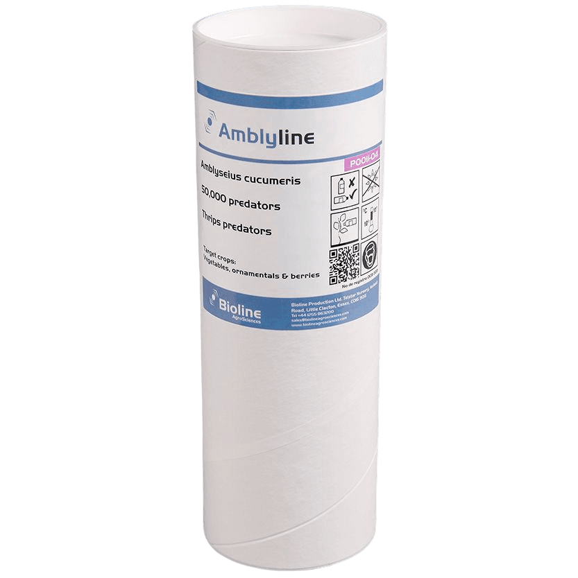Amblyline - Bran-vermiculite - Tube - 50,000 Individuals - Amblyseius cucumeris (Thrips)
