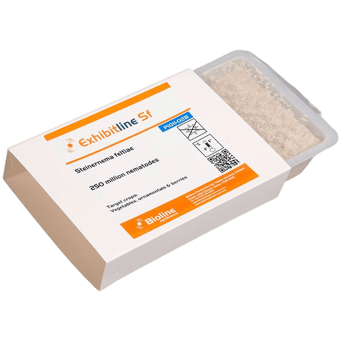 Exhibitline SF -B- tray - 250 Mio Individuals - Steinernema feltiae