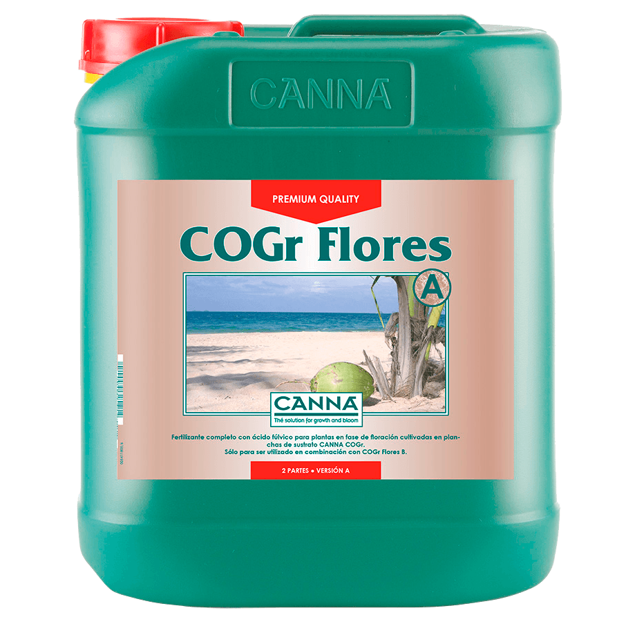 Canna Cogr Flowers A + B