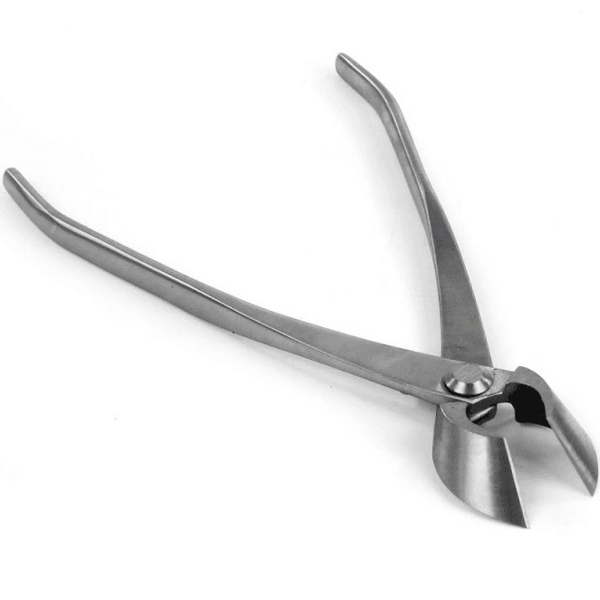 Dingmu Concave Pruner (Polished)