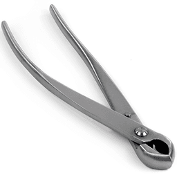 Dingmu Concave Scoop (polished) (1)