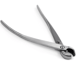 Dingmu Concave Scoop (polished) (2)