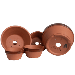 Honeysuckle Terracotta Prebonsai Pot (1)