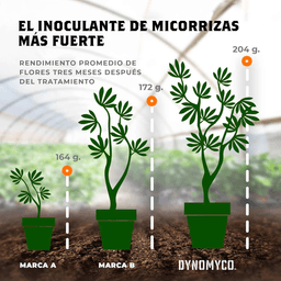 Dynomyco Micorrizas 100gr (2)