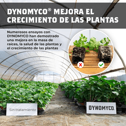 Dynomyco Micorrizas 100gr (4)