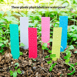 PVC Tip Label 2x12cm (500 units) (3)