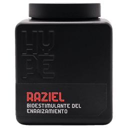 Raziel (Solid Rooting) (2)