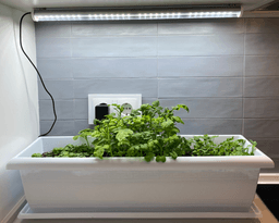 Meliflor TLed Kitchengrow 26W 6600K + Magnets + Timer (3)