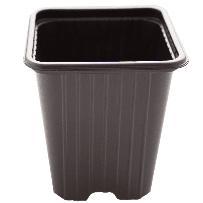 Square Eco Black Pot