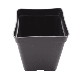 Square Eco Black Pot (1)