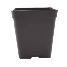 Square Eco Black Pot (2)