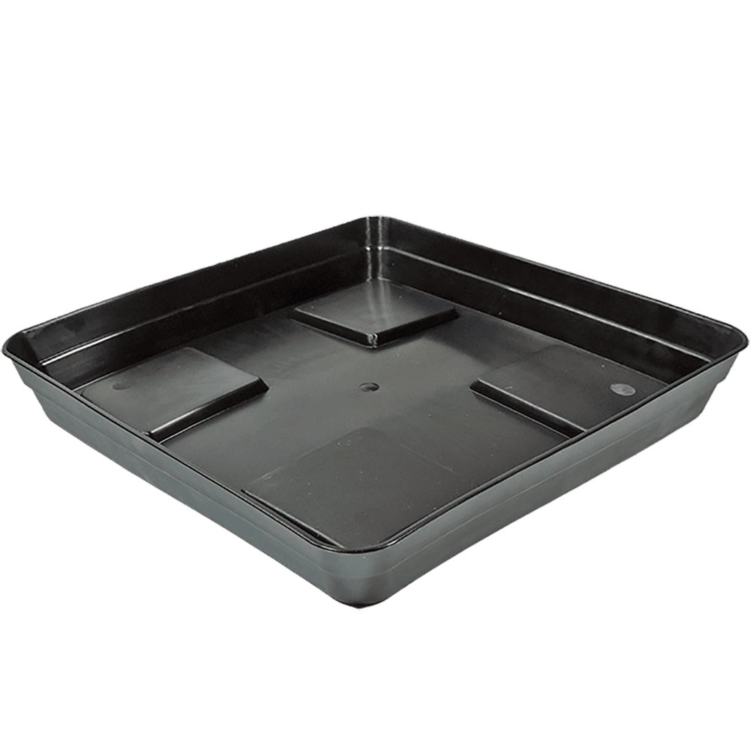 Eco Black Square Plate with Stand