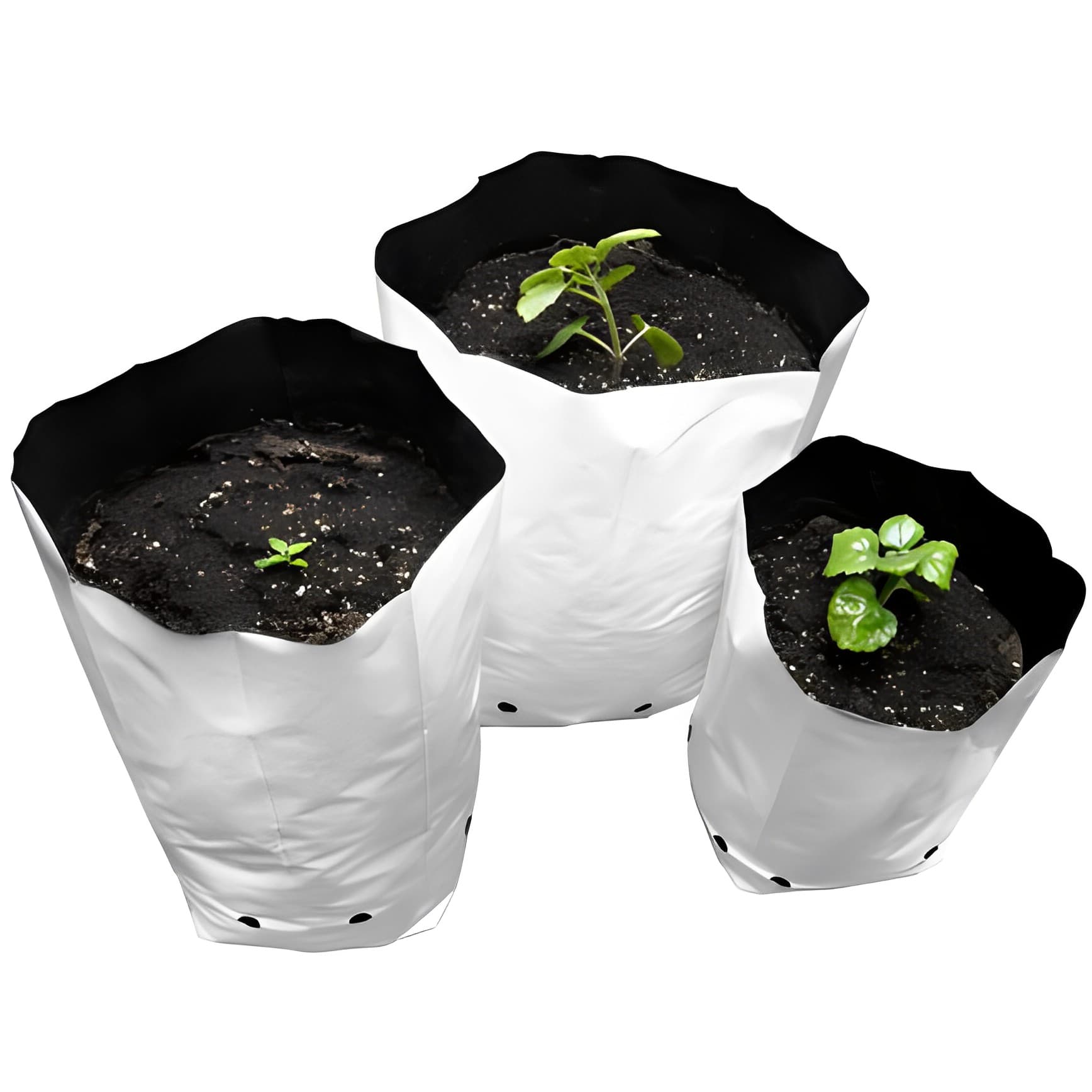 Grow Bag 5 Gallons (22L) (25 Units)