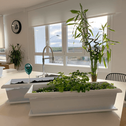 Meliflor Garden Kitchen Starter Kit (3)