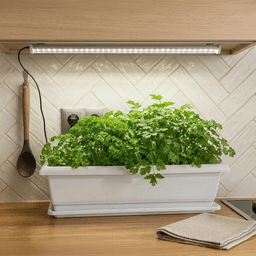 Meliflor Garden Kitchen Starter Kit + Lighting (3)