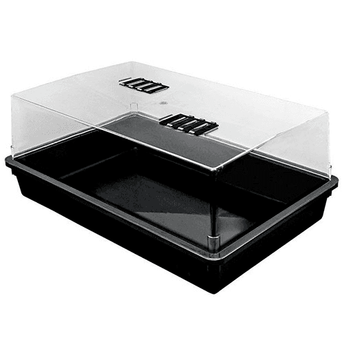 Large Hard Plastic Propagator 56x38x22cm