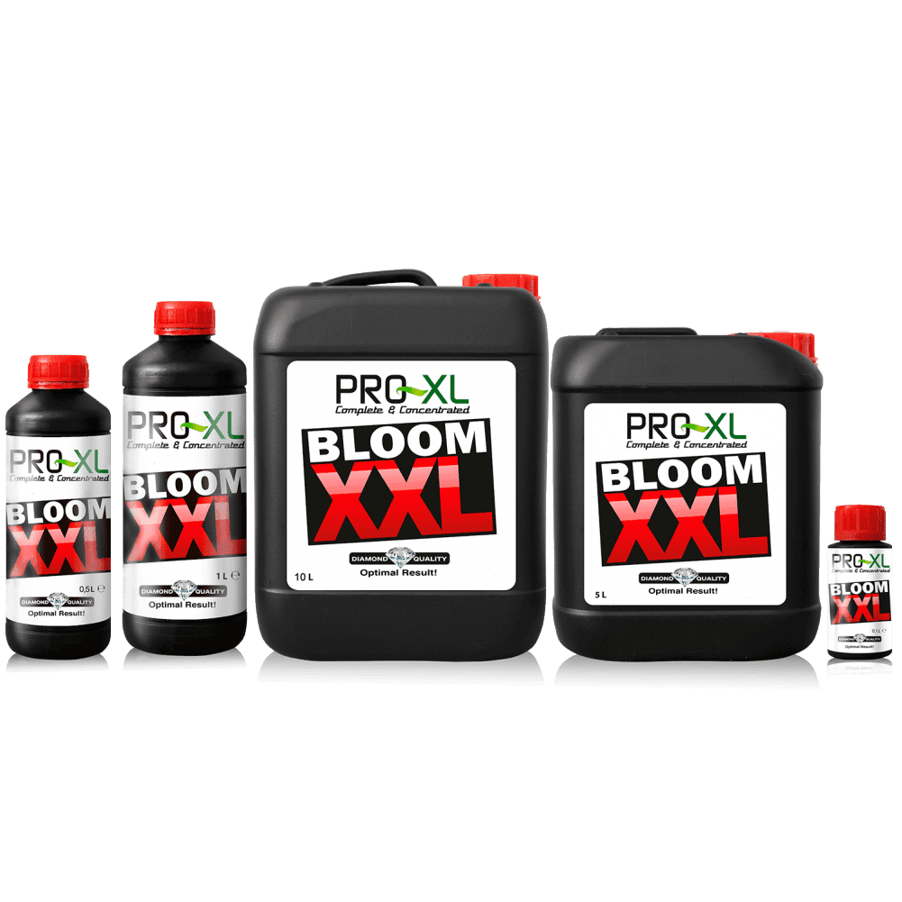 PRO-XL Bloom XXL
