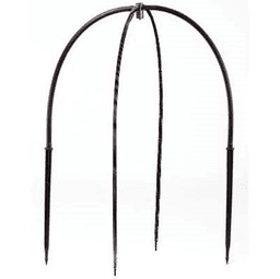 Black Spider 60cm (2)