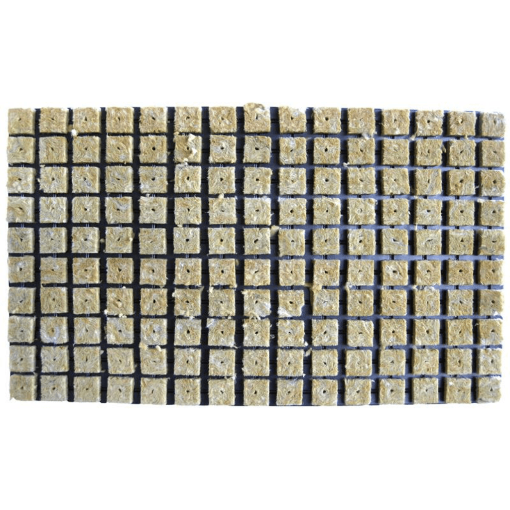 Rock Wool Tray