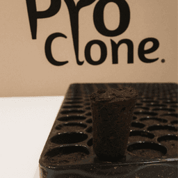 Pro-Clone Tray 104 Alveoli Seeds / Cuttings (Box 8Und) (3)