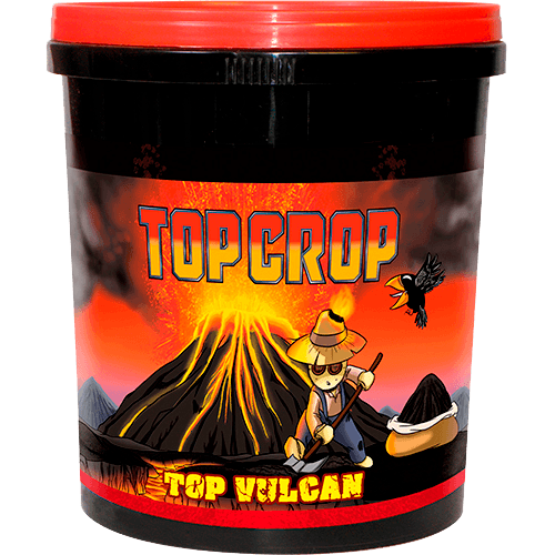 Top Crop Top Vulcan (Lava Flour)
