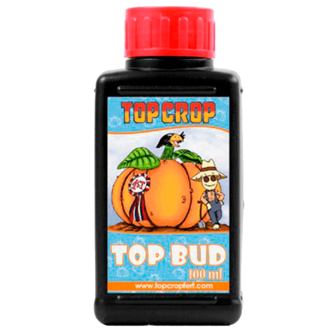 Top Crop Top Bud