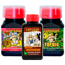 Top Crop Tripack (1)