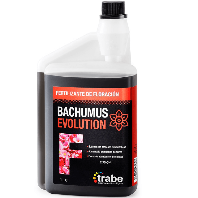 Trabe Bachumus Evolution Flowering (1L - 20L)