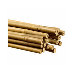 Bamboo Tutor (2)