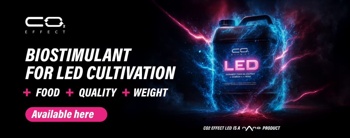 CO2 Effect Led