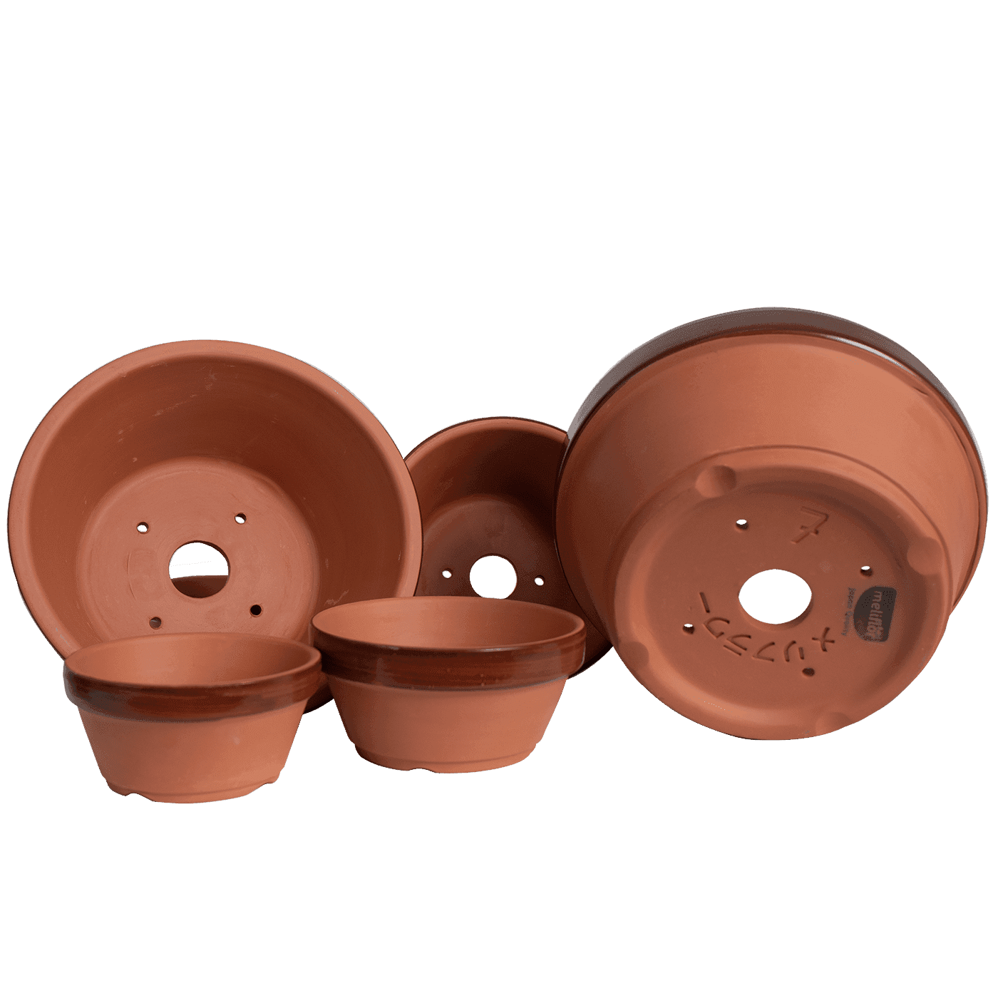 Honeysuckle Terracotta Prebonsai Pot